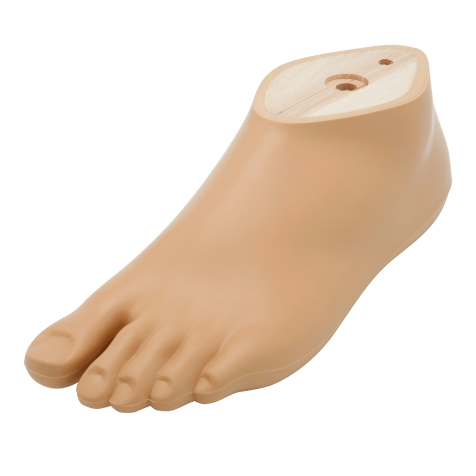 Foot prosthetics-1S90