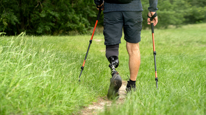 Flori takes a relaxed stroll across a field.