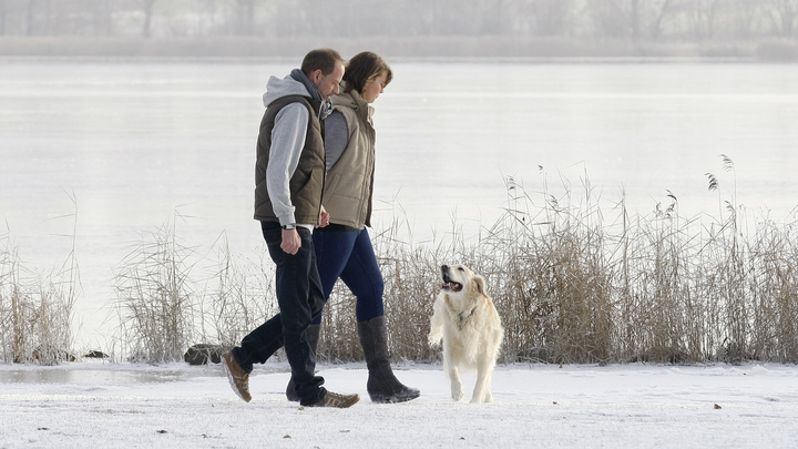 Man takes a walk by a lake with woman and dog