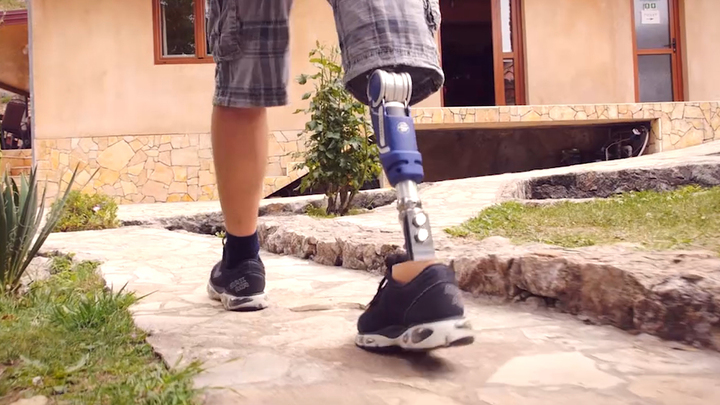 User walks along the garden path