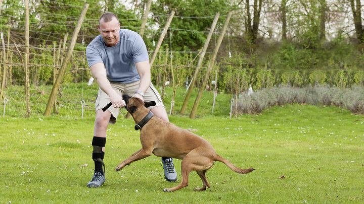 Man playing in the meadow with his dog.
